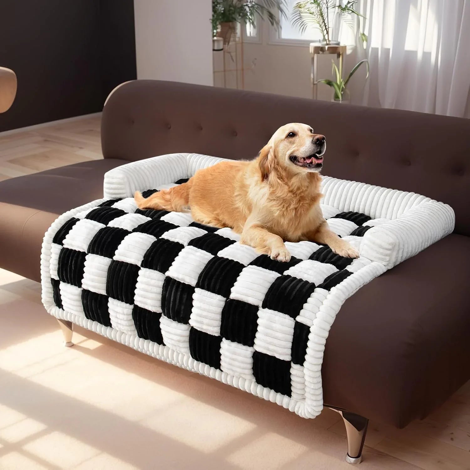 Pet Beds & Comfort