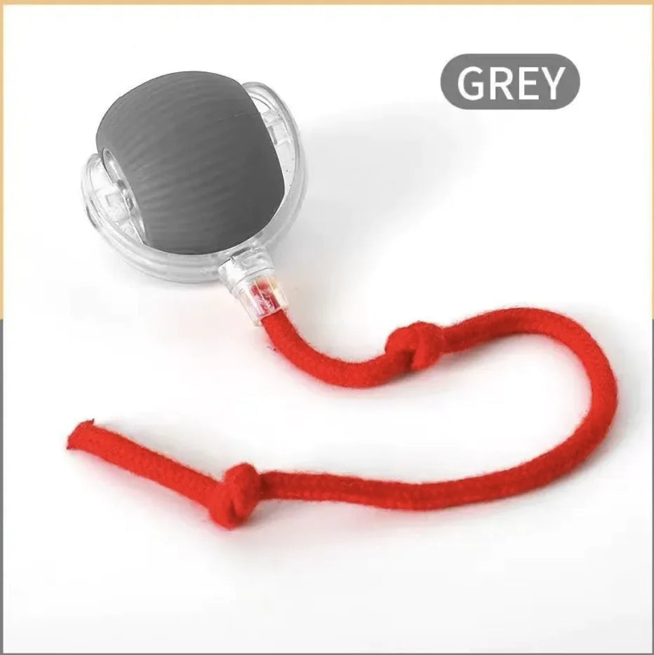 Cat Bite-Resistant Toy Ball