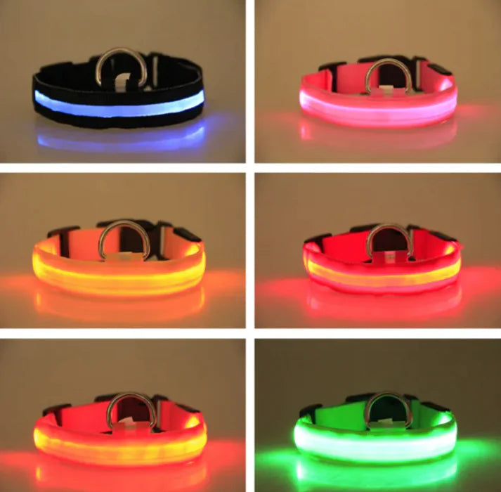 LED Dog Collar