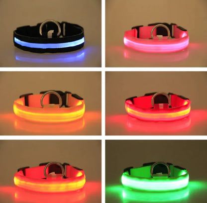 LED Dog Collar