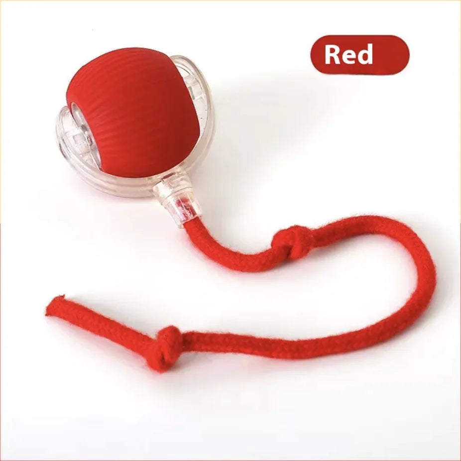 Cat Bite-Resistant Toy Ball