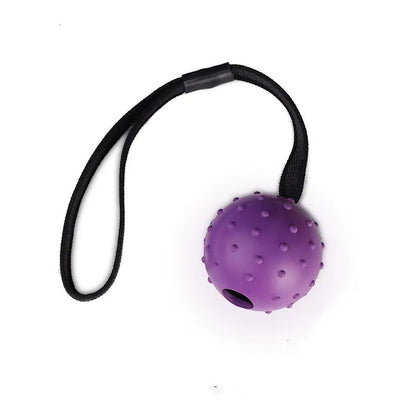 Dog Training Bite-Resistant Rubber Ball for Dogs