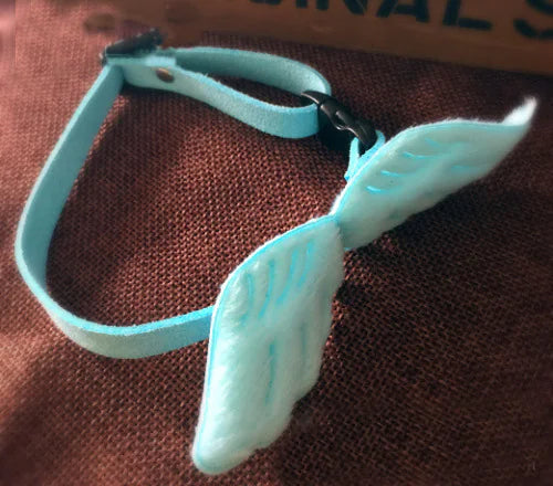 Wholesale Pet Accessories: Collars with Bowties and Bells