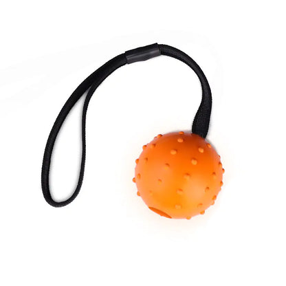 Dog Training Bite-Resistant Rubber Ball for Dogs