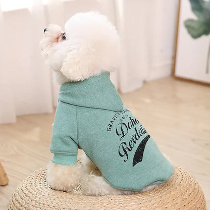 Autumn Winter Dog Sweater with Pattern Design
