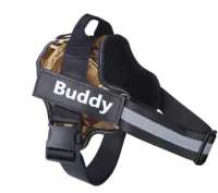 Personalized Dog Harness with Custom Name Tag