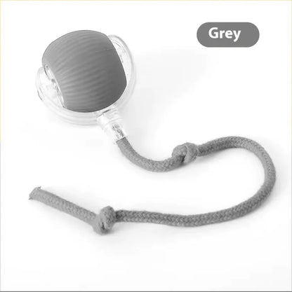 Cat Bite-Resistant Toy Ball