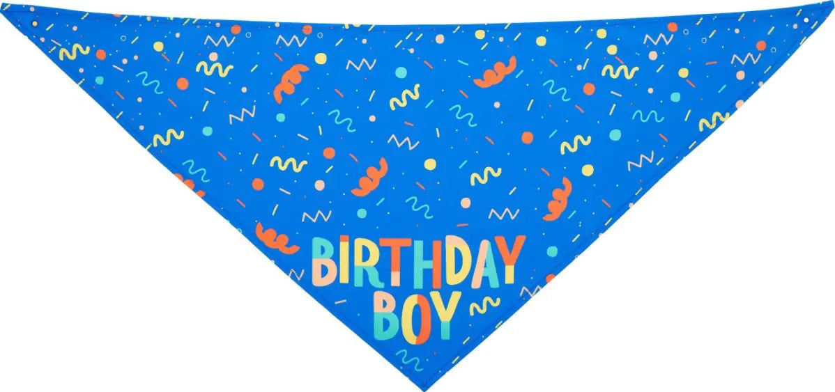 Pet Triangle Scarf and Dog Birthday Bone Toy
