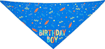 Pet Triangle Scarf and Dog Birthday Bone Toy