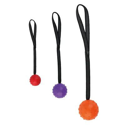 Dog Training Bite-Resistant Rubber Ball for Dogs