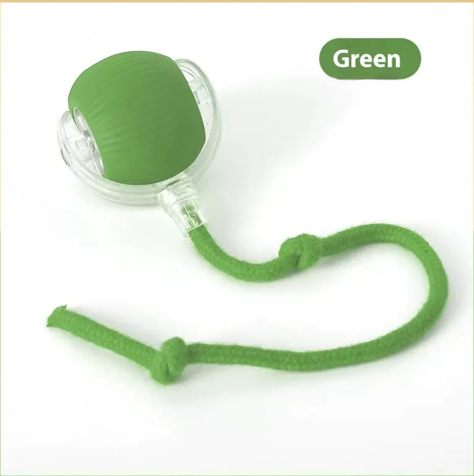 Cat Bite-Resistant Toy Ball