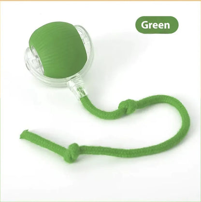 Cat Bite-Resistant Toy Ball