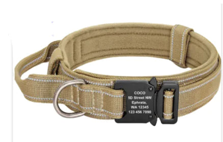 Medium to Large Dog Collars for Pets