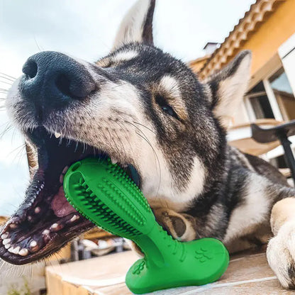 Dog Toothbrush Molar Toy - Bite Resistant Design