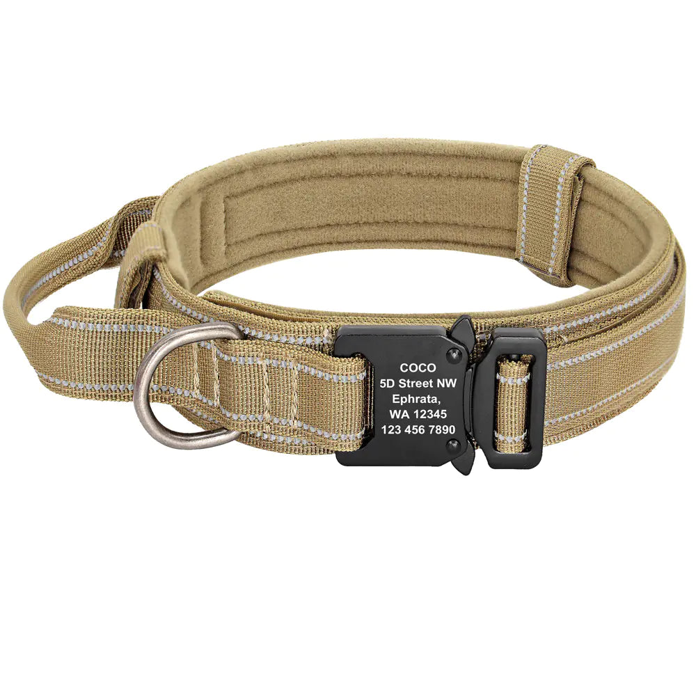 Medium to Large Dog Collars for Pets