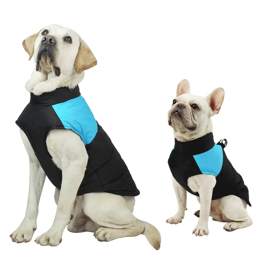 Big Dog Clothes for Autumn and Winter with Cotton Padding